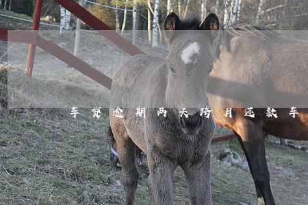 车贷逾期两天跨月还款(车贷逾期两天有事吗)