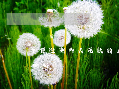车贷逾期两天还款的后果(车贷逾期2天有影响吗)