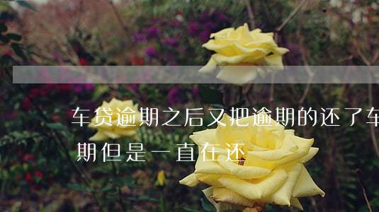 车贷逾期之后又把逾期的还了（车贷信用卡逾期但是一直在还）