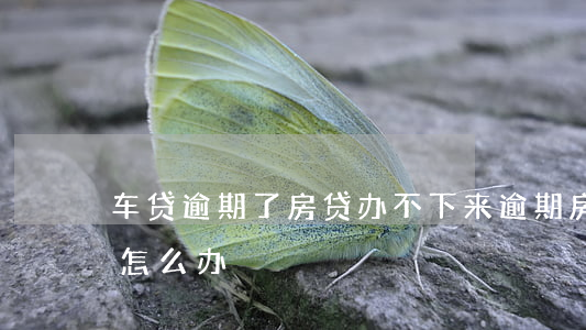 车贷逾期了房贷办不下来(逾期房贷贷不下来怎么办)