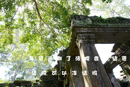 车贷逾期了法院会冻结资产 车子贷款没还完,法院可以冻结吗
