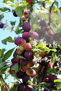 车贷逾期会下律师函吗(车贷逾期多久会被金融公司起诉)
