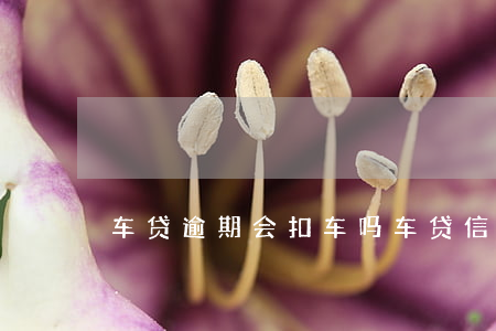 车贷逾期会扣车吗（车贷信用卡逾期会扣车）
