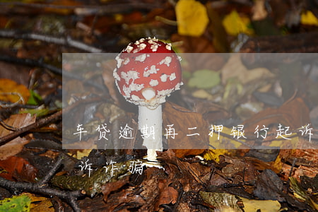 车贷逾期再二押银行起诉诈骗(车贷逾期被起诉诈骗)