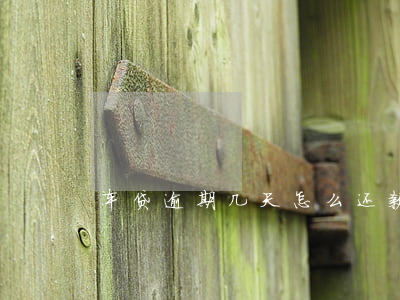 车贷逾期几天怎么还款(车贷逾期怎么还款?)