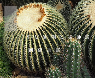 车贷逾期发律师函说解除合同-车贷逾期收到律师函