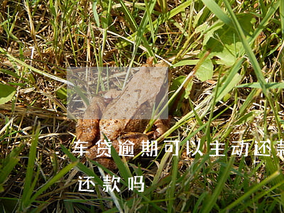 车贷逾期可以主动还款吗(车贷逾期可以主动还款吗)