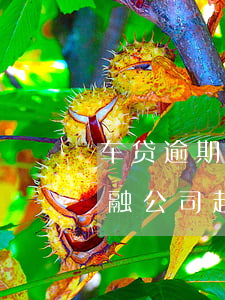 车贷逾期后被金融公司起诉-车贷逾期被金融公司起诉了,没钱还