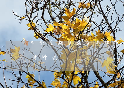 车贷逾期多久会寄律师函(车贷逾期多久会寄律师函)