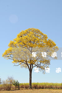 车贷逾期多久担保公司才可以起诉(贷款公司车贷逾期多久会被起诉)