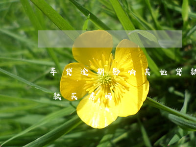 车贷逾期影响其他贷款吗(车贷逾期会影响贷款买房吗)