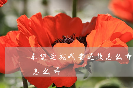 车贷逾期我要还款怎么弄(车贷逾期我要还款怎么弄)