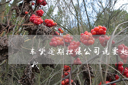 车贷逾期担保公司说要起诉(车贷逾期要起诉我)