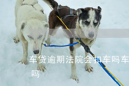 车贷逾期法院会扣车吗(车贷逾期有权利扣车吗)