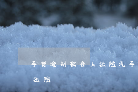 车贷逾期被告上法院(汽车贷款逾期被起诉到法院)