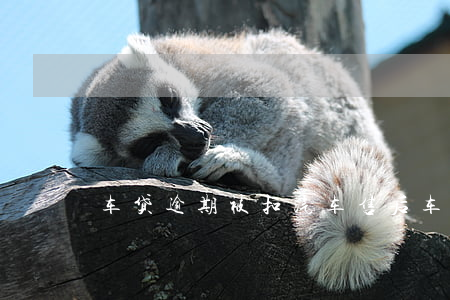 车贷逾期被扣汽车售后(车贷扣款逾期)