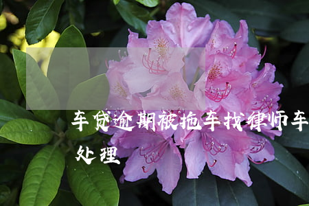 车贷逾期被拖车找律师(车贷逾期被拖车怎么处理)