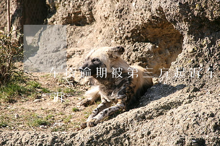 车贷逾期被第三方起诉(车贷逾期担保人被起诉)
