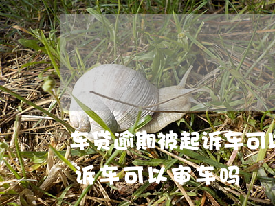 车贷逾期被起诉车可以审车吗 车贷逾期被起诉车可以审车吗
