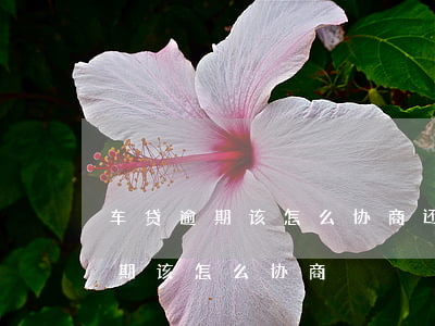 车贷逾期该怎么协商还款打什么电话（车贷逾期该怎么协商）