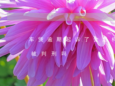 车贷逾期起诉了会怎样会坐牢吗(车贷逾期会被判刑吗)