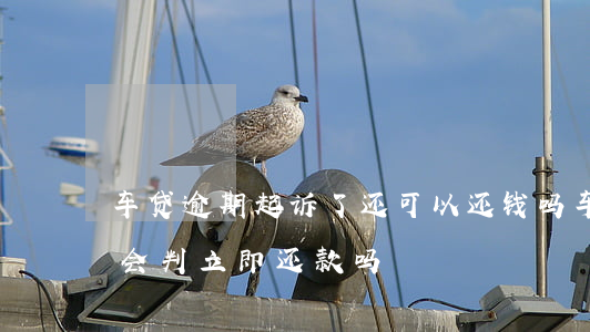 车贷逾期起诉了还可以还钱吗 车贷逾期法院会判立即还款吗