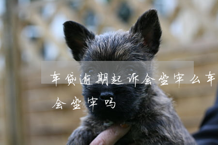 车贷逾期起诉会坐牢么(车贷逾期一年被起诉会坐牢吗)