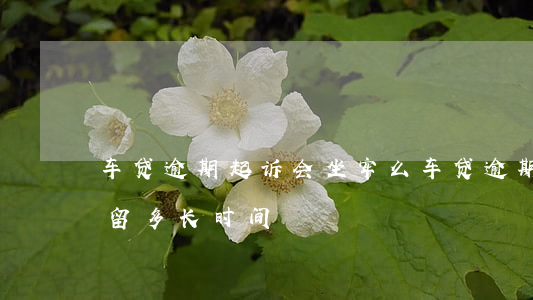 车贷逾期起诉会坐牢么（车贷逾期被起诉会拘留多长时间）