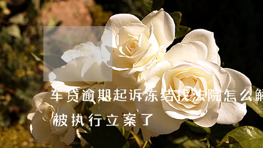 车贷逾期起诉冻结找法院怎么解决(车贷逾期被执行立案了)