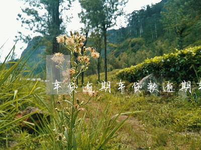 车贷逾期?（车贷款逾期车被扣）