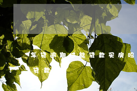 车贷逾期过能贷款买房吗(房贷逾期买车可以贷款吗)