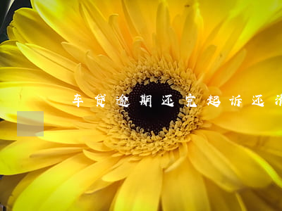 车贷逾期还完起诉还清 汽车贷款逾期怎么还