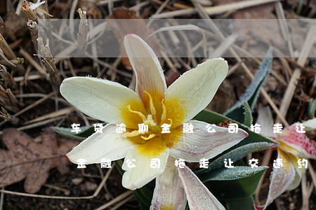 车贷逾期金融公司拖走让交违约金(车贷逾期金融公司拖走让交违约金合法吗)
