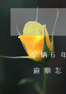 车辆6年免检逾期怎么处理(机动车六年免检逾期怎么办)