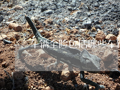 车辆全险包括哪些(车辆全险包括哪些内容)