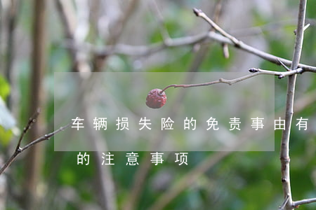 车辆损失险的免责事由有哪些,交通事故理赔的注意事项
