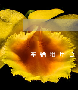 车辆租用合同