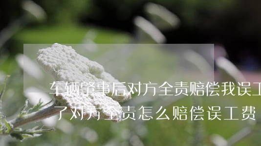 车辆肇事后对方全责赔偿我误工费吗(出车祸了对方全责怎么赔偿误工费)