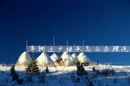 车辆过户继承怎么办理(汽车牌照继承过户)