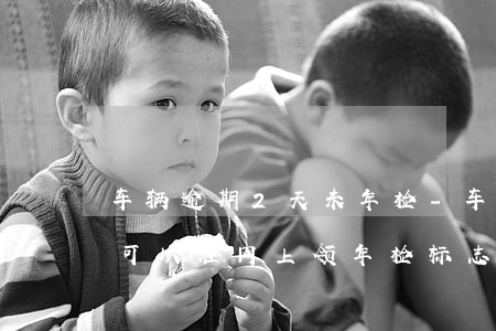 车辆逾期2天未年检-车辆逾期2天未年检可以在网上领年检标志吗
