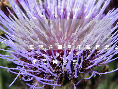 车辆逾期两年脱审怎么补审(脱审车辆超过两年如何处理)