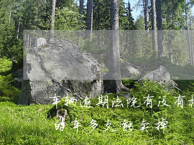 车辆逾期法院有没有权利拍卖车辆 法院拍卖的车多久能卖掉
