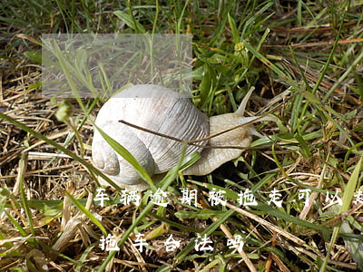 车辆逾期被拖走可以起诉拖车方吗(汽车逾期拖车合法吗)