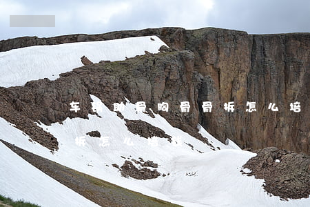 车锅助骨胸骨骨拆怎么培钱(车锅助骨胸骨骨拆怎么培钱)