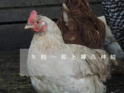 车险一般上哪几种险