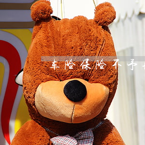车险保险不予理赔的几种情形