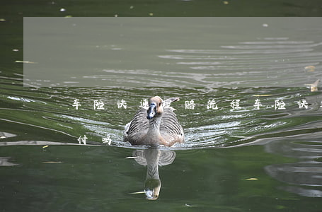 车险快速理赔流程(车险快速理赔流程需要垫付吗)