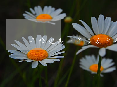 车险逾期一年多没审车(汽车逾期半年没审)