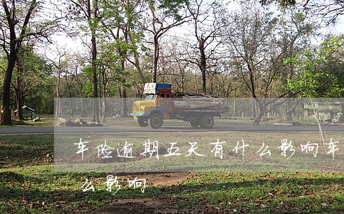 车险逾期五天有什么影响（车险逾期五天有什么影响）