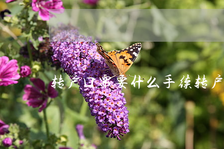 转户口需要什么手续(转户口需要哪些手续)